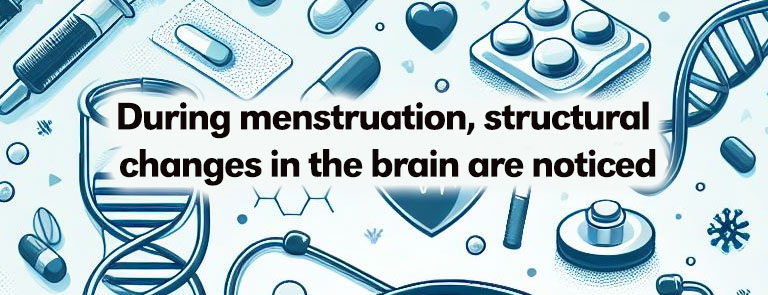 During menstruation, structural changes in the brain are noticed